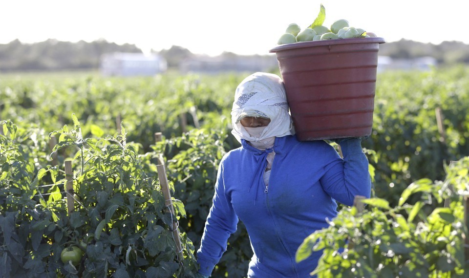 agricultural trafficking